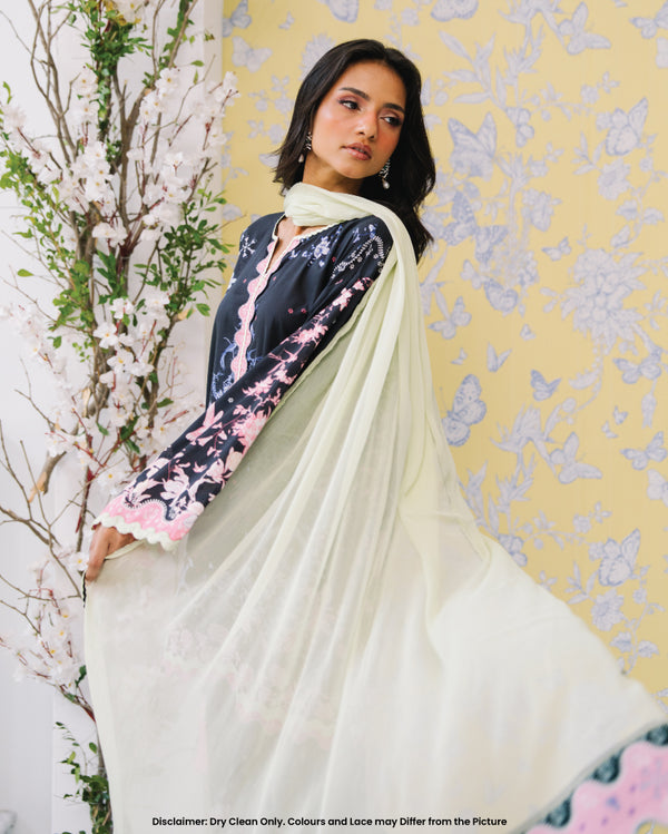 Starry dupatta